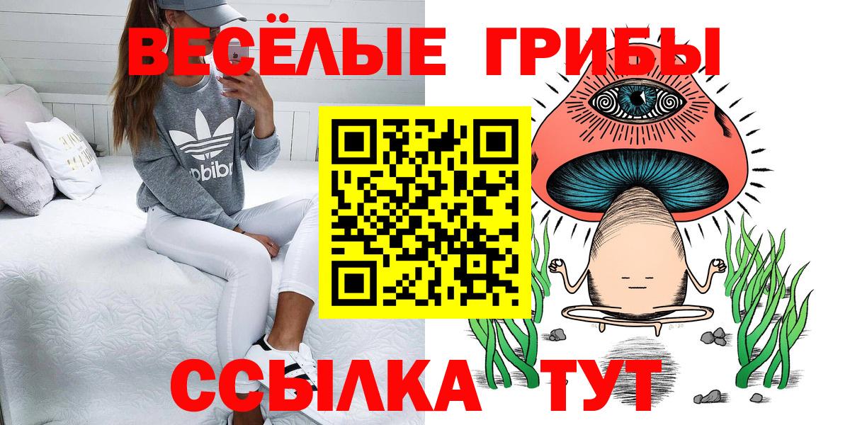 Галлюциногенные грибы прущие грибы Тверь